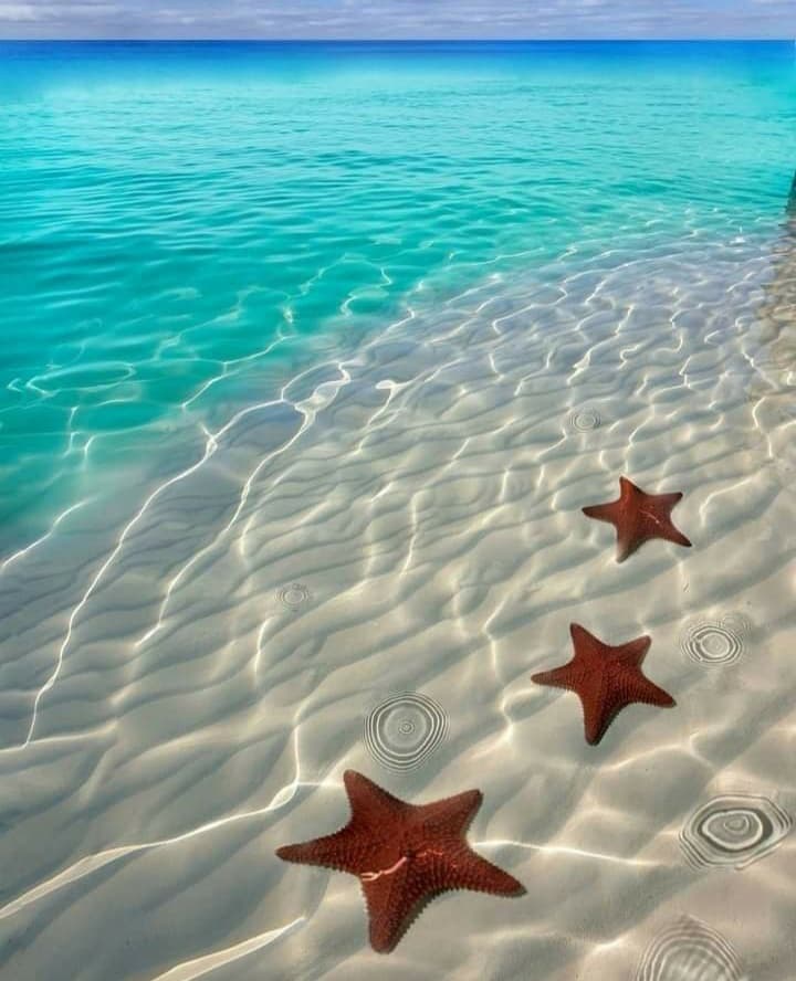 Програма Щастие - 5-дневна